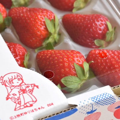朝摘み!ふるさと納税上牧町　奈良県高級ブランド苺「古都華」250g×4パック(2L以上)※2ケース