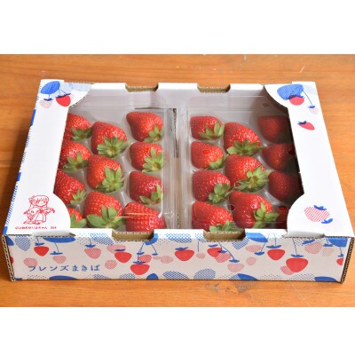 朝摘み!ふるさと納税上牧町　奈良県高級ブランド苺「古都華」250g×4パック(2L以上)※2ケース