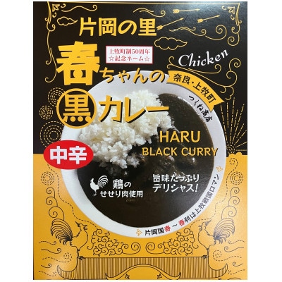 【奈良上牧町】黒カレー詰め合わせセット6P