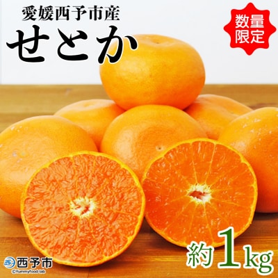 愛媛県明浜産　せとか(1kg)