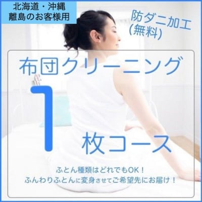 ふとんクリーニング 1枚 (なんでもOK) 北海道・沖縄・離島可[No5895-0594]