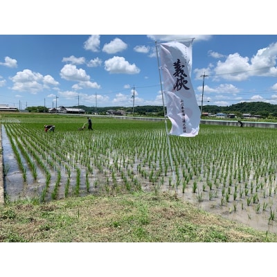 義侠　純米酒飲み比べセット