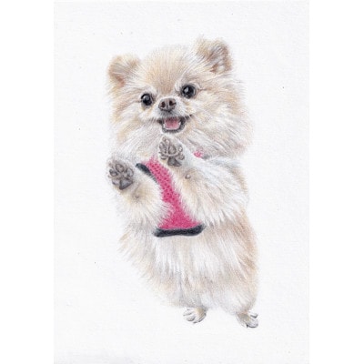 ペット肖像画A4サイズ計1枚