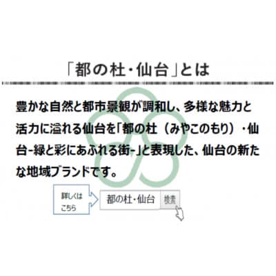 「都の杜・仙台」仙臺まころん詰合せ(45g×16袋)