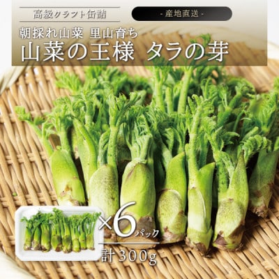 朝採れ山菜 タラの芽 300g
