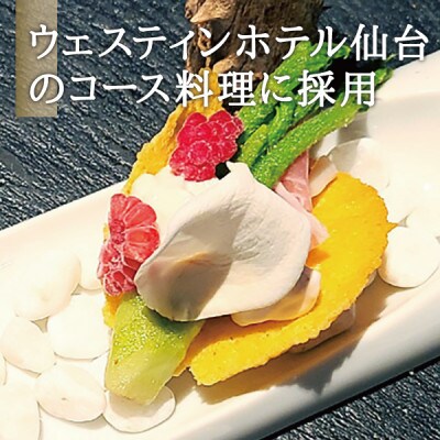 朝採れ山菜 タラの芽 300g