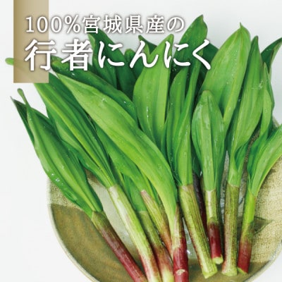 蔵王山麓 行者にんにく醤油漬け 3瓶セット