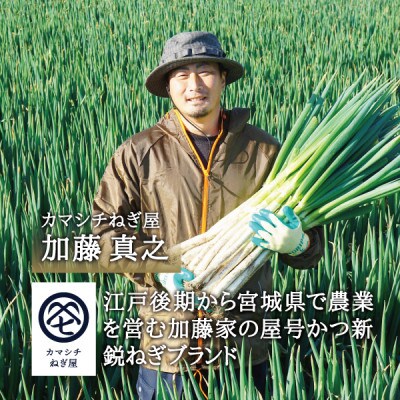 カマシチねぎ屋 旬の甘ねぎ 6kg