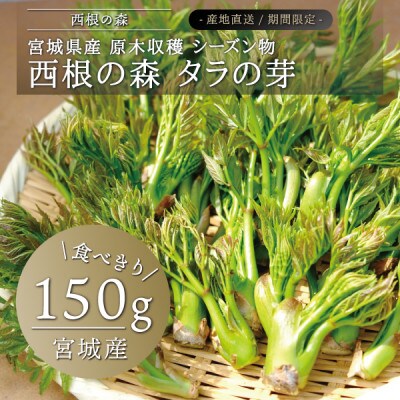 西根の森 タラの芽(宮城産 シーズン物 原木収穫)150g