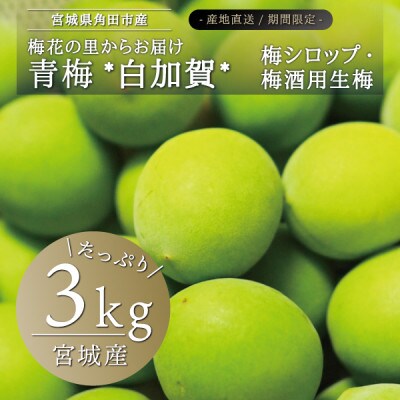 宮城県産 青梅(生梅)3kg◆梅花の里から農家直送 梅酒・梅シロップ用