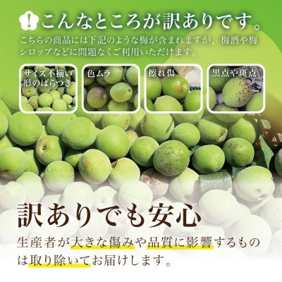 【宮城県産】ご家庭用青梅(訳あり生梅)3kg 梅酒・梅シロップ用 栽培期間中農薬不使用|太良衛門