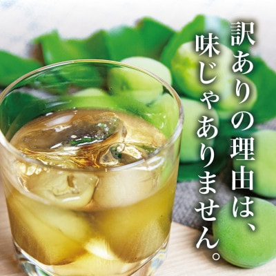 【宮城県産】ご家庭用青梅(訳あり生梅)3kg 梅酒・梅シロップ用 栽培期間中農薬不使用|太良衛門