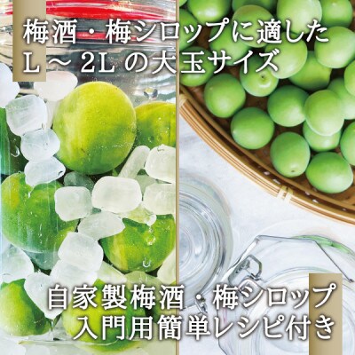 宮城県産 青梅(生梅)3kg◆梅花の里から農家直送 梅酒・梅シロップ用