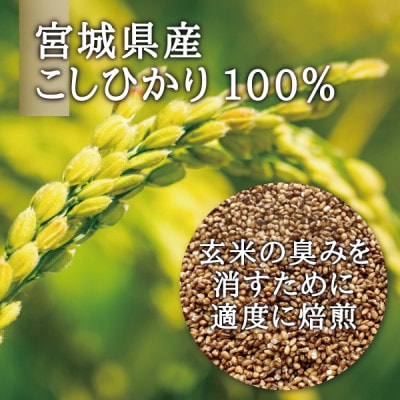 宮城県産コシヒカリ使用　玄米パスタ グルテンフリー米粉麺 30袋
