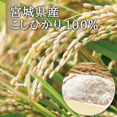 宮城県産コシヒカリ使用　グルテンフリー米粉パスタ食べ比べセット 米粉パスタ・玄米パスタ各3袋
