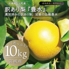 宮城県産 訳あり梨 豊水10kg(22～40玉入り)