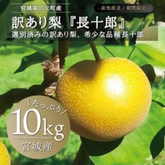 宮城県産 訳あり梨 長十郎10kg(22～40玉入り)