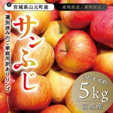 宮城県産 ご家庭用 サンふじ5kg(11～20玉入り)生産者選別済みのリンゴ