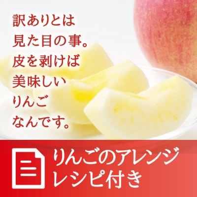 宮城県産  ご家庭用 サンふじ10kg(22～40玉入り)生産者選別済みのリンゴ