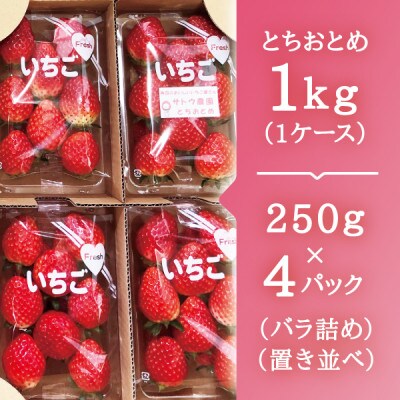 【宮城県産とちおとめ 3kg】フレッシュ朝摘みいちご 約250g×12パック 置き並べ