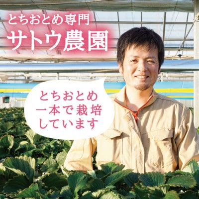【宮城県産とちおとめ 1kg】フレッシュ朝摘みいちご 約250g×4パック 置き並べ