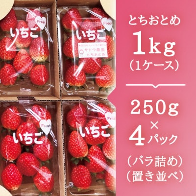 【宮城県産とちおとめ 1kg】フレッシュ朝摘みいちご 約250g×4パック 置き並べ