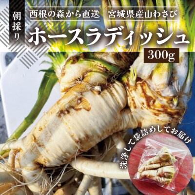 【西根の森から直送】ホースラディッシュ(300g) 宮城県産 朝採り農家直送の山わさび