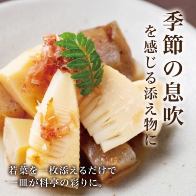 【西根の森】山椒の苗(ポット苗) 6本セット
