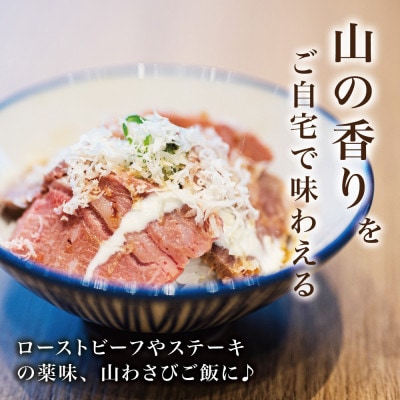 【西根の森】ホースラディッシュの苗(山わさび)12本(ポット苗)国産山菜苗