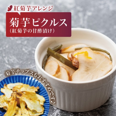 【宮城県産】紅菊芋 500g(500g×1袋) 生きくいも 西根の森|太良衛門