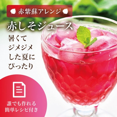 【宮城県産】朝採り赤紫蘇 1kg(赤丸葉しそ・茎付き) 栽培期間中農薬不使用 西根の森|太良衛門