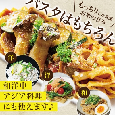 【毎月定期便】グルテンフリー玄米パスタ9食(宮城県産)小麦粉不使用の無添加玄米麺 米粉麺全3回