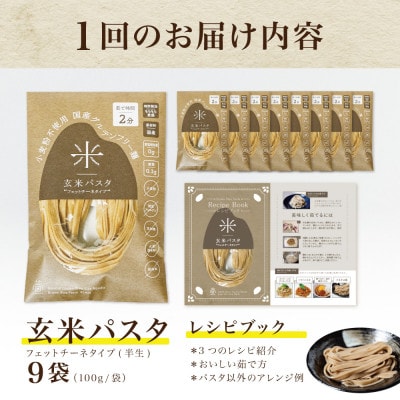 【毎月定期便】グルテンフリー玄米パスタ9食(宮城県産)小麦粉不使用の無添加玄米麺 米粉麺全3回