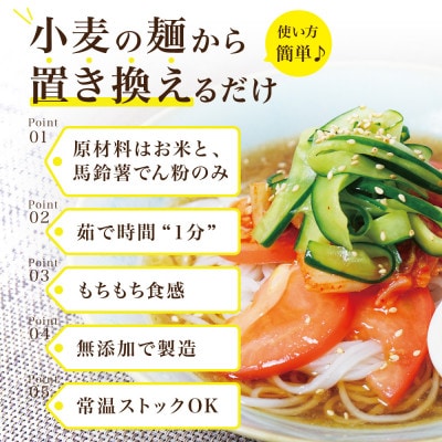 【毎月定期便】グルテンフリー1分麺 米粉麺6食(宮城県産)低脂質で小麦粉不使用の無添加米粉麺全3回