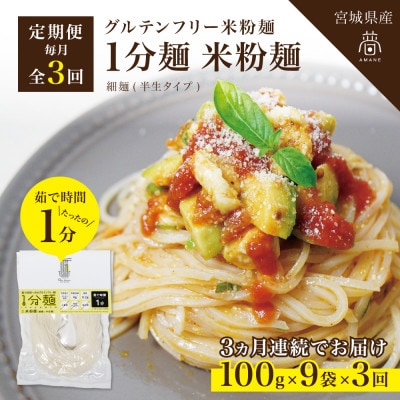 【毎月定期便】グルテンフリー1分麺 米粉麺9食(宮城県産)低脂質で小麦粉不使用の無添加米粉麺全3回