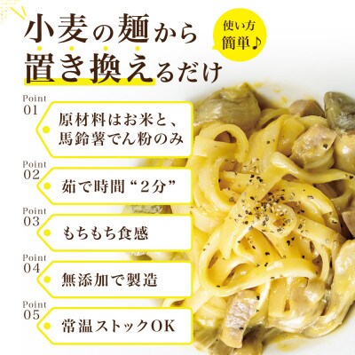 【毎月定期便】グルテンフリー米粉パスタと玄米パスタ食べ比べセット各3食 無添加 米粉麺・玄米麺全6回