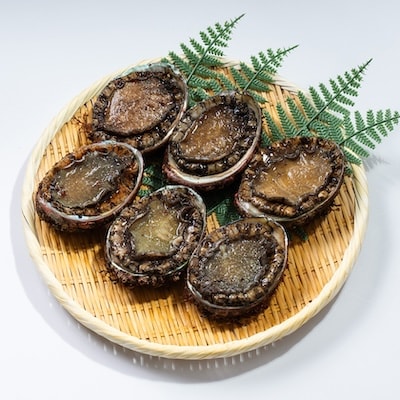 三陸産 天然蝦夷あわび(冷凍)約1kg 6~8個(捌き方・レシピ付き)