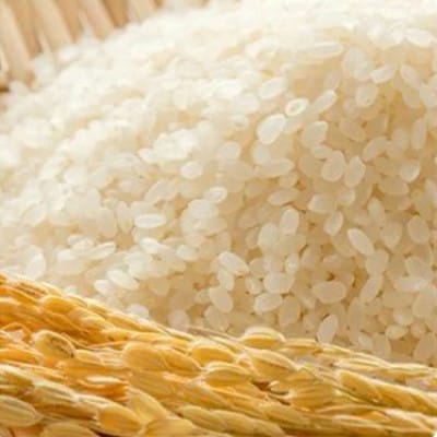 ふっくら柔らか!宮城県南三陸サーモン、塩銀鮭・小分けタイプ3切れ×5袋&ひとめぼれ米2合のセット