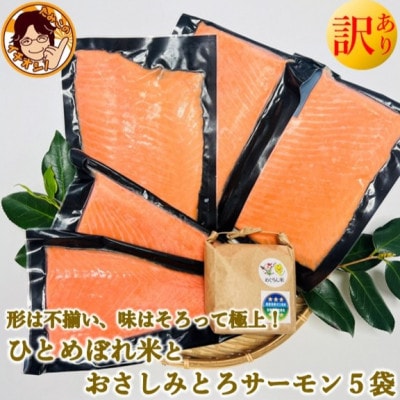訳ありお刺身とろサーモン約200g×5袋&ひとめぼれ米2合のセット