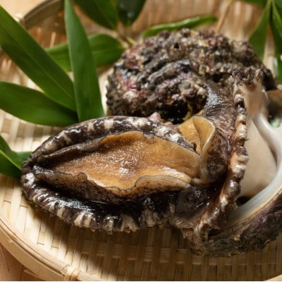 【南三陸町直送】三陸産天然活アワビ6～7個(約800g)　貝むきセット入