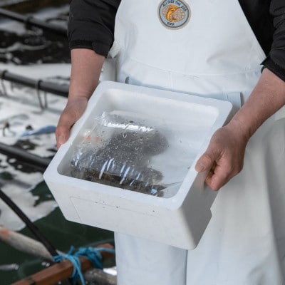 【南三陸町直送】三陸産天然活アワビ 3～4個(約400g)　貝むきセット入