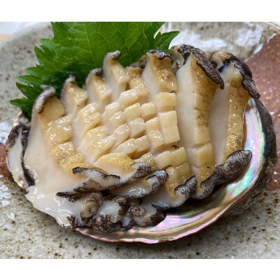 【南三陸町直送】三陸産天然活アワビ 5～6個(600g)　貝むきセット入