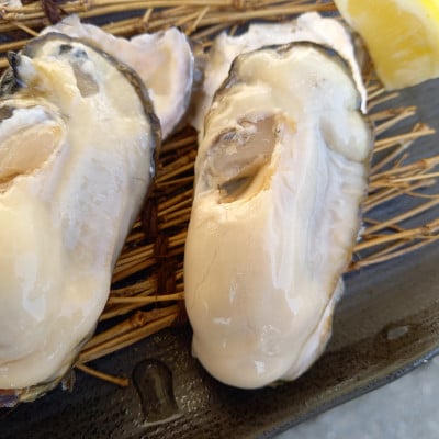 三陸直送!生食用殻付き牡蠣7kg(45個位)