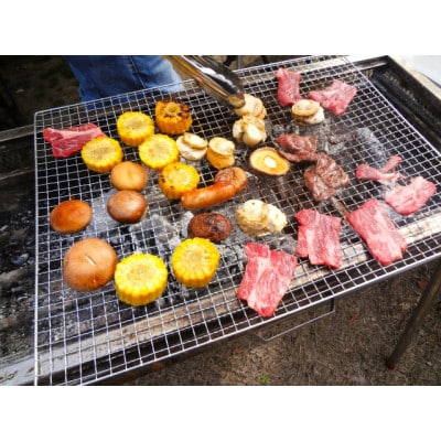 仙台牛モモ肉　焼き肉用カット　600g(300g×2)