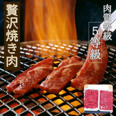 仙台牛もも肉　焼き肉用カット　600g(300g×2)