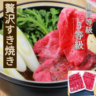 仙台牛もも肉　すき焼き用　600g(300g×2)