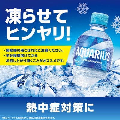 コカ・コーラ社のアクエリアス 500mlペット×24本
