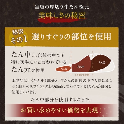 たん中～たん元まで楽しめるカネタの極元 1kg(500g×2袋)