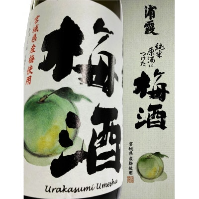 【宮城の蔵元】浦霞の梅酒&ゆず酒　720ml×2本セット