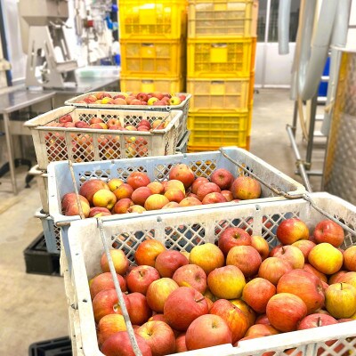 【南三陸ワイナリー】CIDRE 2024(750ml)シードル(辛口)